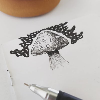 illustration/1570489679000_17867315134497674