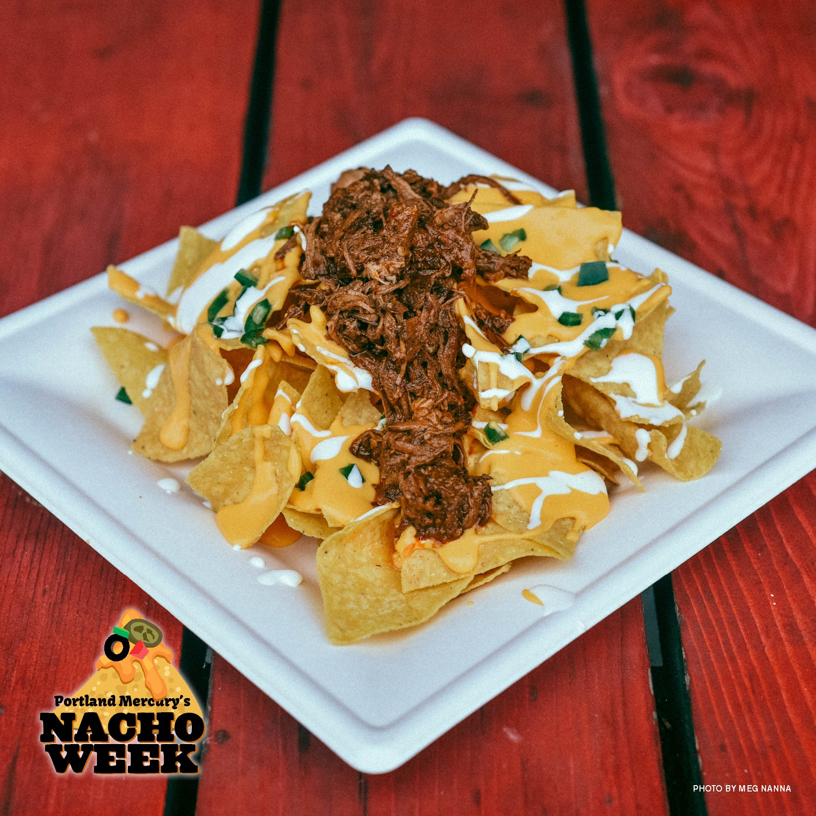 Barbacoa Beef Nacho