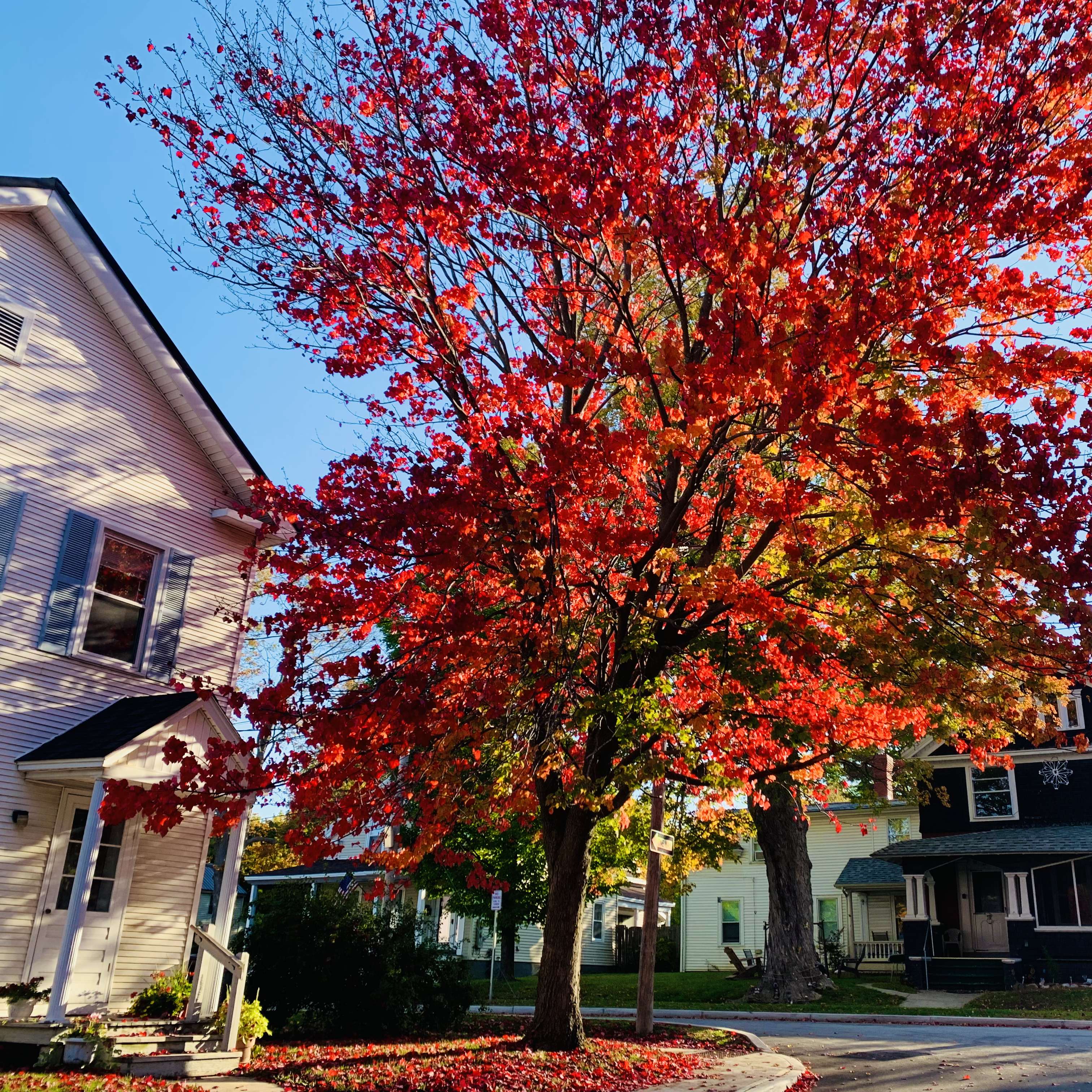 St. Albans, VT