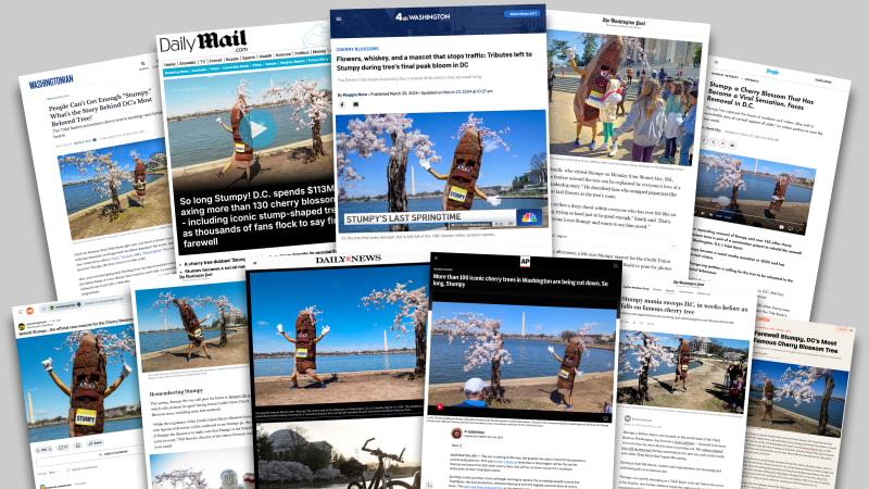 Composite of screenshots of news articles about Stumpy