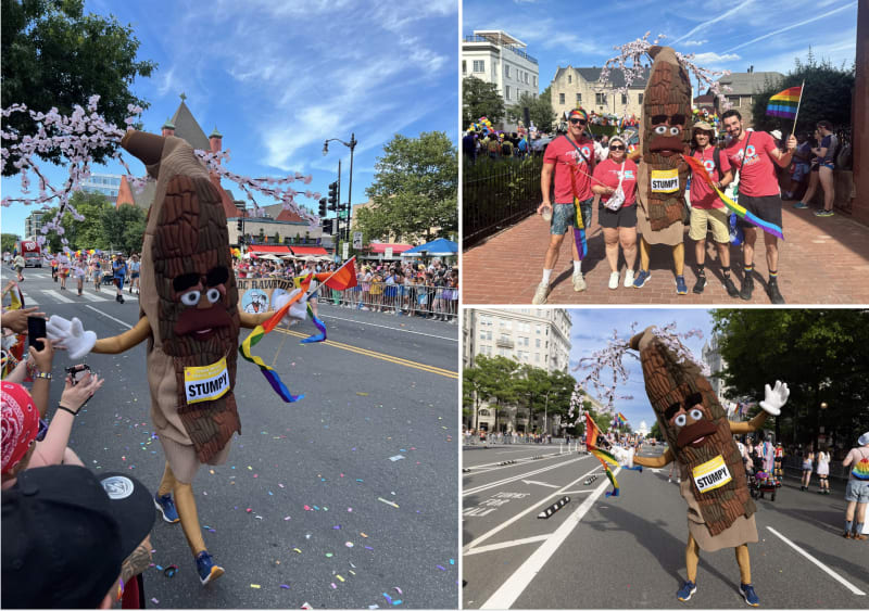 Stumpy marching in the 2024 Capital Pride Parade