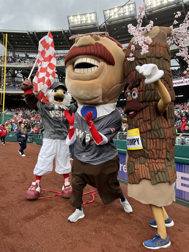 Stumpy celebrating a Presidents Race victory with Teddy and Screech at Nationals Park