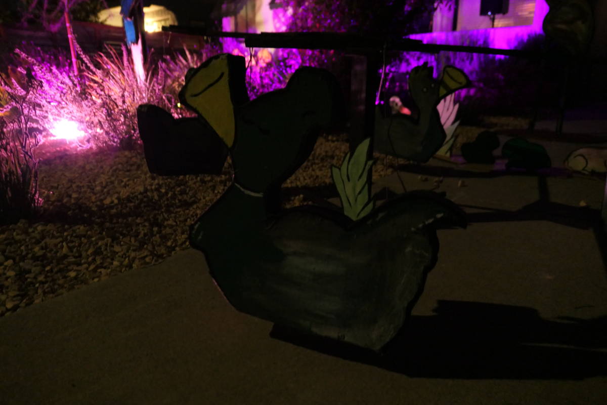 A dimly-lit photo of a duck, suspended from a carousel-like apparatus with some other ducks