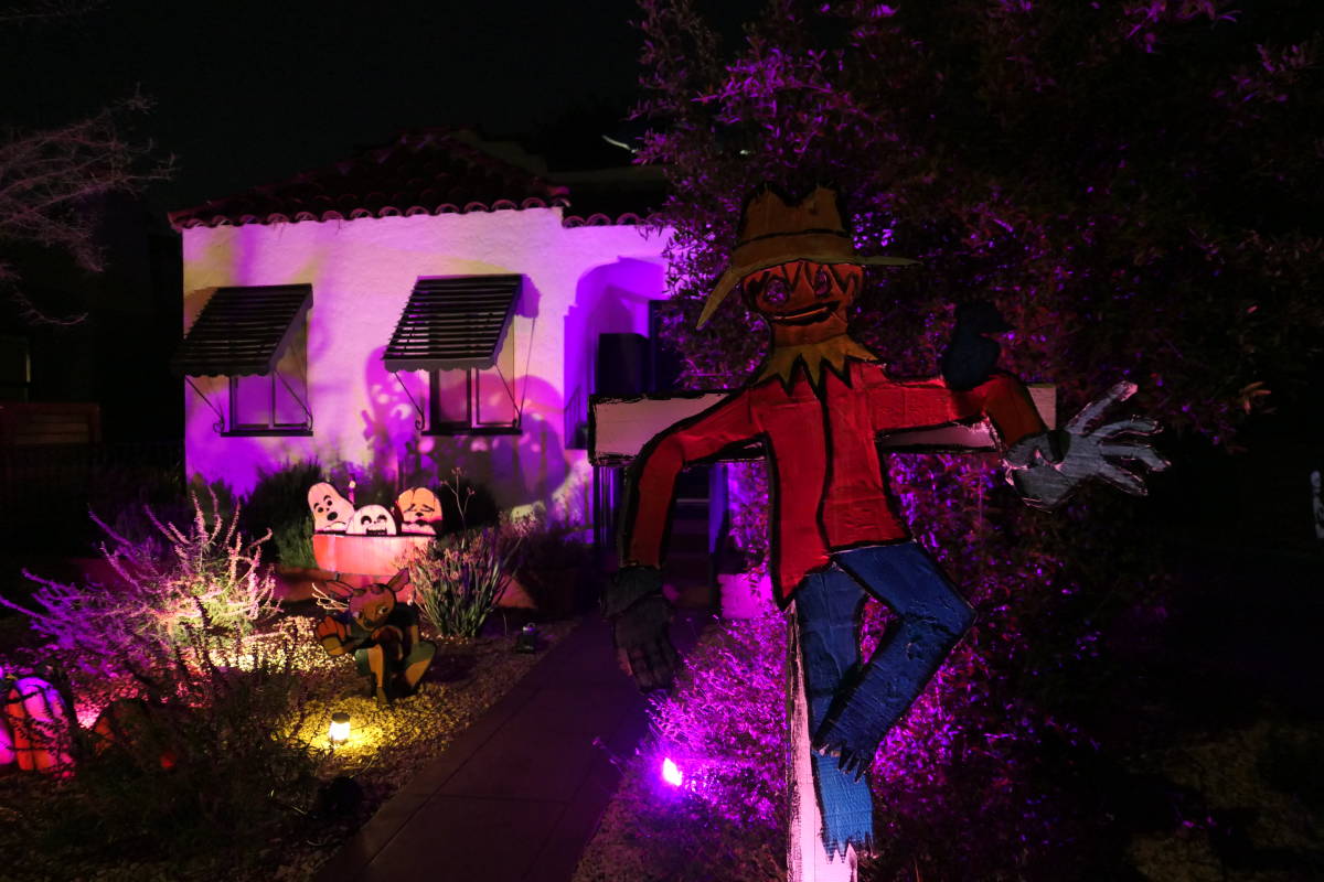 A scarecrow reaching for the camera!