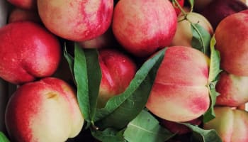 a pile of peaches with leaves