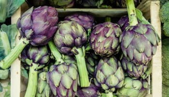 a group of artichokes in a pile