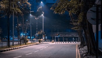 a street with trees and a road at night