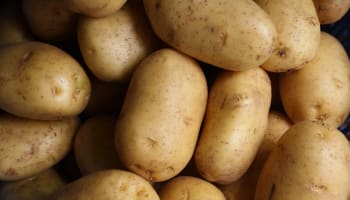 a pile of potatoes