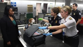 two women in uniform looking at a dog and luggage