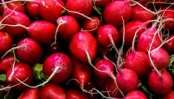 a pile of red radishes