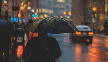 a person holding an umbrella in the rain