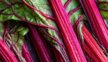 a close up of a leaf