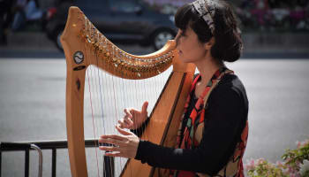 a person playing a harp