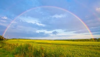 a rainbow over a field of grass