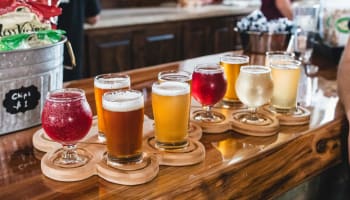 a row of glasses of beer