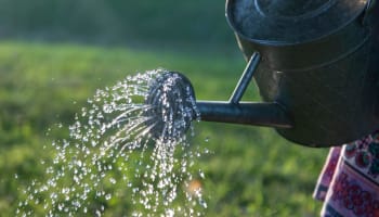 a watering can with water coming out of it