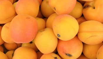 a pile of orange and yellow fruit