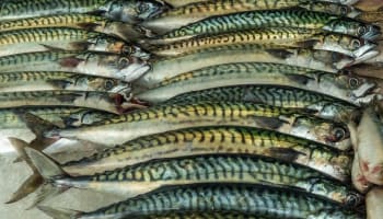 a pile of fish on a table