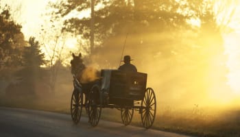 a horse and buggy with a person in a hat