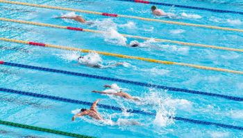 a group of people swimming in a pool