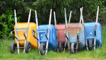 a group of wheelbarrows in a row