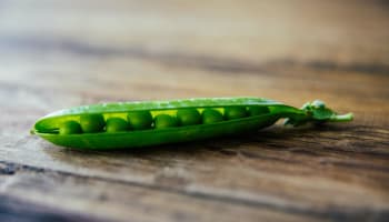 a pea pod on a table