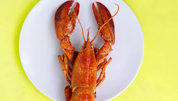 a lobster on a plate