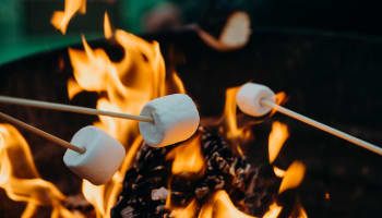 marshmallows over a fire