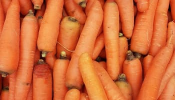 a pile of carrots