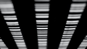 a close up of a barcode