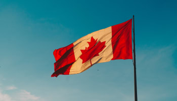 a flag on a pole
