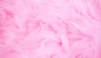 a close up of a pink fur