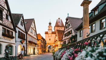 a street with buildings and flowers