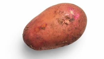 a close up of a potato