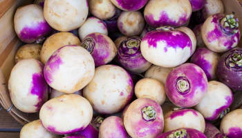 a pile of purple and white turnips