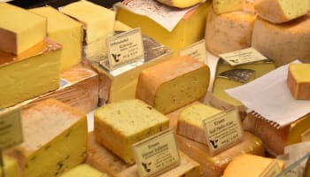 a group of cheeses on a table