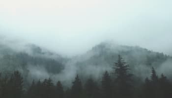 a foggy mountain range with trees