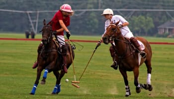 a group of people playing polo
