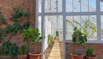a glass house with plants in pots