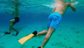 a person's legs and fins underwater