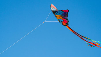 a kite in the sky