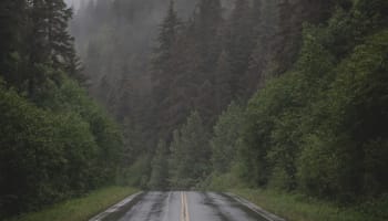 a wet road with trees in the background