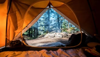 a view from inside of a tent