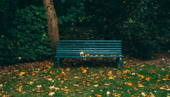 a bench in a park with leaves on the ground