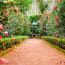 a path with a bench and a flower garden