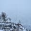 a snowy mountain with trees