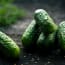 a group of cucumbers on a table