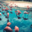 a group of flamingos in water