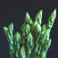 a bunch of green asparagus