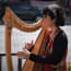 a person playing a harp